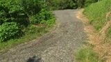 軽乗用車にはねられ死亡 男性の身元判明 鹿児島・日置市 | 鹿児島のニュース|MBC NEWS|南日本放送