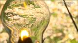 「昔から夜を灯してきたのは電気ではなくランプ」開湯200年の秘湯宿 冬季の眠りから覚める 宮城・栗原市 | 宮城のニュース│tbc NEWS│tbc東北放送