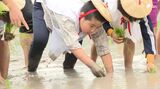 「貴重な体験うれしかった」早乙女姿で子どもたちが田植えに挑戦 豊作を祈願=静岡市 | 静岡のニュース | SBSNEWS | 静岡放送