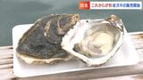 日生の新名物になれ「生食用の岩ガキ」本格的な出荷始まる「マガキ・かきおこに続け」【岡山・備前市】　|　岡山・香川のニュース | 天気 | RSK山陽放送