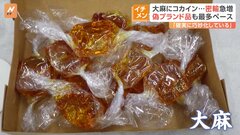 キャンディーに偽装した「大麻」 ブルーベリーに隠した「覚せい剤」巧妙化する麻薬密輸の実態　税関が摘発 不正薬物の密輸は2年連続2トン超え| TBS CROSS DIG with Bloomberg