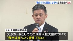 農林部会長「我々はまったく考えてない」“交渉カード”としてのコメ輸入拡大案を否定　自民党部会| TBS CROSS DIG with Bloomberg