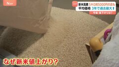 【今後 値下がりは？】新米の季節到来… 5キロ約5000円の店も　銘柄米の価格下がらず| TBS CROSS DIG with Bloomberg