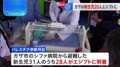 シファ病院の新生児28人 エジプトに移送| TBS CROSS DIG with Bloomberg
