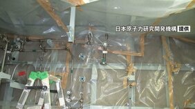 新型転換炉「ふげん」で放射性物質含む水が漏れる 作業員の被ばく確認されず 福井・敦賀市|TBS NEWS DIG