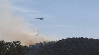 ギリシャで山火事が相次ぎ消防士3人が死亡　4度目の熱波襲来で首都アテネでも山火事リスク高まる| TBS CROSS DIG with Bloomberg
