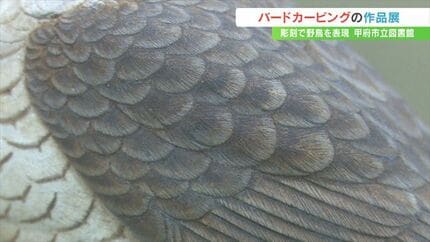 本物そっくり！ 実寸大の野鳥の彫刻など約100点 バード