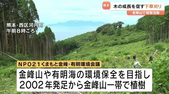 木の成長を促すため　金峰山で約4万㎡の下草刈り　熊本|TBS NEWS DIG