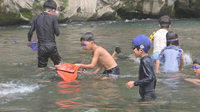 夏の涼を満喫！川遊びと地元の味を楽しめる「小半森林公園キャンプ場」　大分・佐伯市|TBS NEWS DIG