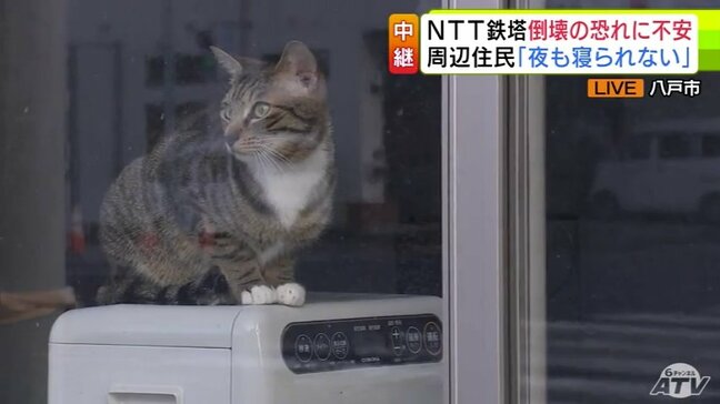 「どうやってこの子たちを守っていけばいいのか…」周辺店舗にも影響 地震で倒壊の恐れあるNTT青森八戸ビルの鉄塔 付近住民からも不安の声「怖い」「最近は眠れない」 求められる一刻も早い対応【青森地震】|TBS NEWS DIG