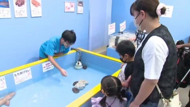 「かわいい。だんだん見た目も可愛く思えてきた」夏休み残りわずか…いよてつ高島屋の『おもしろ不思議水族館』にぎわう 愛媛県・松山市|TBS NEWS DIG