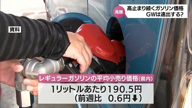 宮崎県内のガソリン価格は190.5円と高値傾向続く　ゴールデンウィークを前に県民は?|TBS NEWS DIG