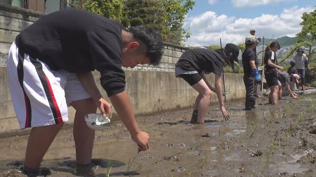 「やっている人はすごく大変」　ぬかるんだ田んぼに悪戦苦闘　子どもたちがコシヒカリの田植え　山梨市の農業体験学習|TBS NEWS DIG