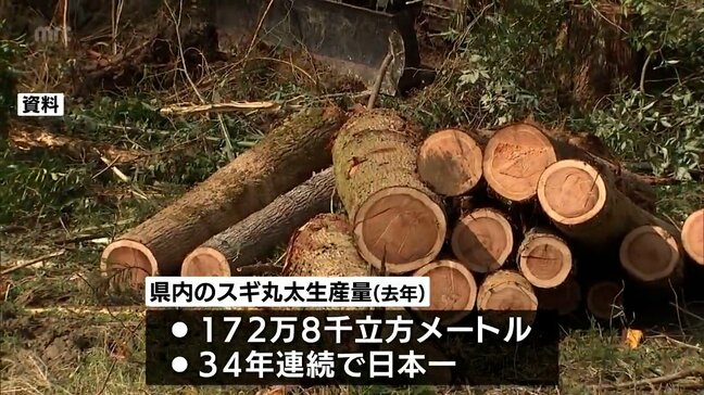 宮崎県がスギ丸太生産34年連続日本一に|TBS NEWS DIG