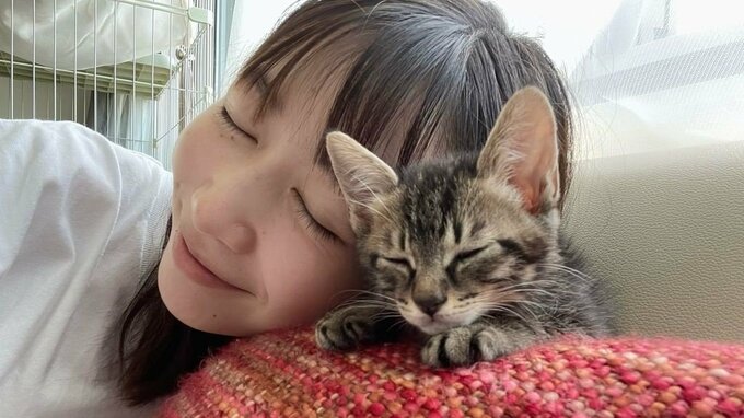 【岡本夏美】保護猫の里親に「新しい家族をご紹介します！」|TBS NEWS DIG
