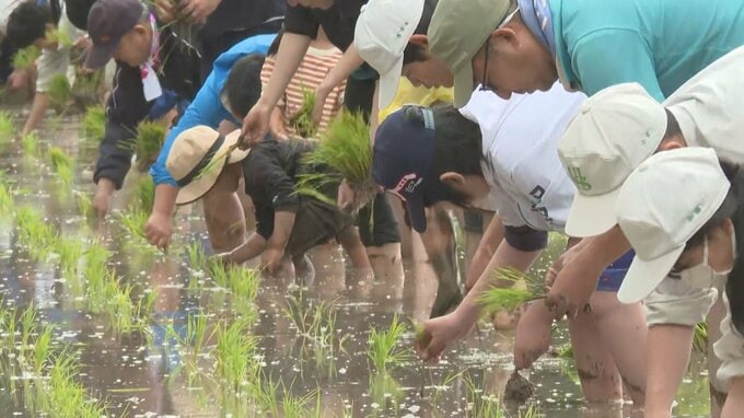 「日本の棚田百選」両合棚田で御田植祭　|　大分のニュース｜OBS NEWS｜大分放送