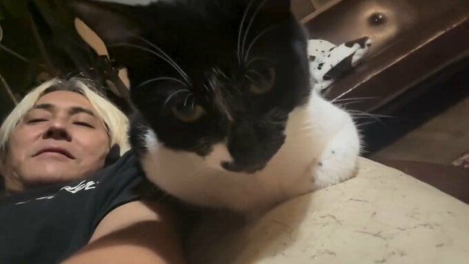 【 ヒロシ 】愛猫・あっちゃん3歳に「誕生日おめでとう」「明日美味いもん食おう」　フォロワーも祝意「これからもずっとそばにいてね」|TBS NEWS DIG