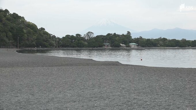 「ダイバーの事故があり心肺蘇生中で意識なし」ダイビングをしていた60代女性が意識不明の重体 静岡県沼津市の大瀬海水浴場＝静岡県警|TBS NEWS DIG