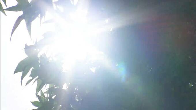 「厳しい暑さ」岡山県内で30人、香川県内で12人が熱中症の疑いで搬送　|　岡山・香川のニュース | 天気 | RSK山陽放送