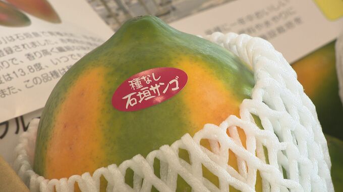 南国のフルーツや郷土料理ずらり 「大おきなわフェア」はじまる　|　石川県のニュース｜MRO北陸放送