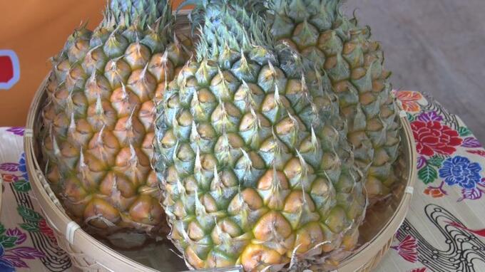 パインの旬入りを宣言！ 石垣市|TBS NEWS DIG