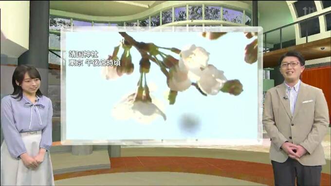 【tbc気象台独自予想】仙台のサクラ開花日は・・・？　|　宮城のニュース│tbc NEWS│tbc東北放送