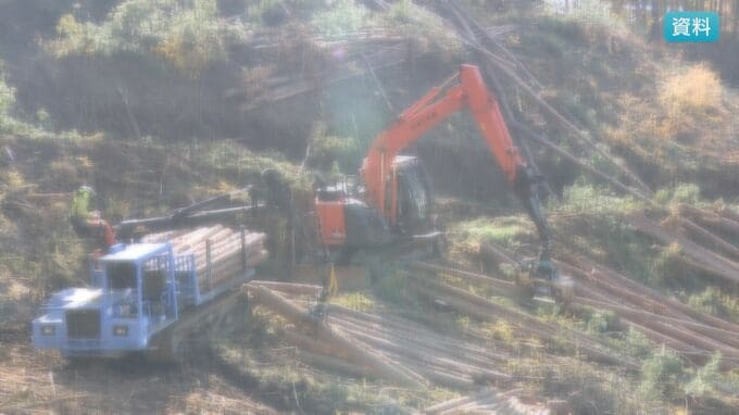 県内の林業就業者・減少傾向から2020年度から5年連続でプラスに|TBS NEWS DIG