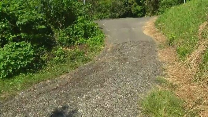 軽乗用車にはねられ死亡　男性の身元判明　鹿児島・日置市|TBS NEWS DIG