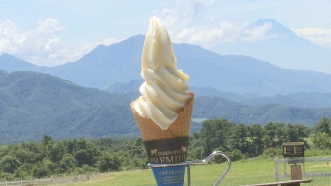 構想15年！　有機ジャージー牛乳が通常の3倍！　プレミアムソフトクリーム　清泉寮で新発売　山梨・北杜市　|　山梨のニュース | ＵＴＹテレビ山梨
