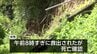 日南市で土砂崩れ被害相次ぐ 生き埋めの98歳女性死亡確認 民家に土砂流れ込み50代女性けが　|　MRTニュース ｜ ＭＲＴ宮崎放送