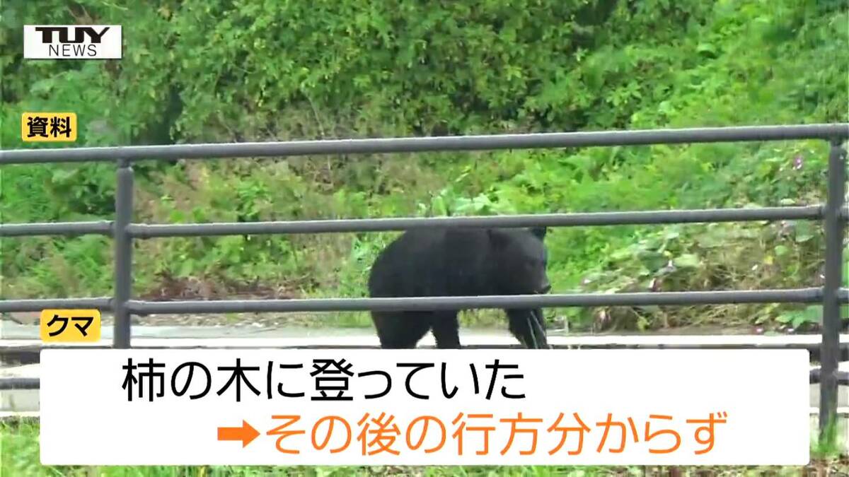 img_b251a8a58f68851509550b1543