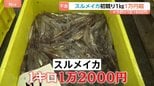 スルメイカ初競り1kg1万2000円！ 令和で最高値“庶民の味”が高級品に|TBS NEWS DIG