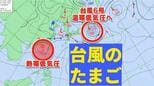 【台風のたまご】熱帯低気圧発生へ「台風6号と同じような進路」の予想も【雨・風シミュレーション3日（水）～8日（月）】台風情報に今後注意　気象庁天気図詳しく|TBS NEWS DIG