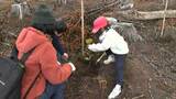 「大きく育ってほしい」来年57年ぶりに岡山開催の全国植樹祭を盛り上げる 花粉の少ないヒノキなど植樹|TBS NEWS DIG