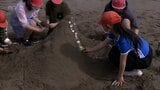 海の生き物をテーマに　日南市の小学生が恒例の「砂の造形」に挑戦　|　MRTニュース ｜ ＭＲＴ宮崎放送