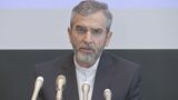 イラン外務次官　訪日会見「イスラエルの『ジェノサイド』を止めさせなければならない」 日本政府にも働きかける考え|TBS NEWS DIG