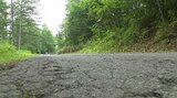 自転車ロード競技の練習中、小中学生と指導者の3人重軽傷…11歳男子小学生の自転車が、先頭の54歳男性の自転車に追突「4台が絡む事故」事故避けようと転倒した45歳女性は背骨折る大けが…長野・王滝村の村道 | SBC NEWS | 長野のニュース | SBC信越放送