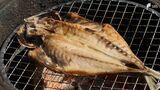 「昔からの特産品がなくなってしまう」水かけ菜、ひものがピンチ 新たな営業許可まで残り3か月・・・伝統産業を構成に【現場から、】 | 静岡のニュース | SBSNEWS | 静岡放送