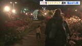 淡い明かりでバラをライトアップ　週末に「福山ばら祭」　|　RCC NEWS | 広島ニュース | RCC中国放送