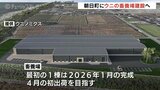 ウニの畜養場建設へ…2026年の稼働目指す 出荷量は陸上養殖では”世界最大規模”に 富山・朝日町 | 富山のニュース|天気・防災|チューリップテレビ