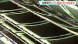 重油被害のノリを焼却するため板ノリへの加工作業が続く　漁協は海保へ補償請求の方針　宮城・七ヶ浜町|TBS NEWS DIG