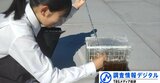 「太陽で汚水を浄化する」物質を開発した高等専門学校の学生たち <シリーズSDGsの実践者たち>【調査情報デジタル】 |TBS NEWS DIG