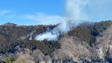 「対岸から白煙が見える」 岩手・大船渡市で林野火災が発生 消火活動中|TBS NEWS DIG