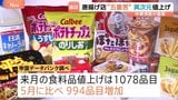 6月の食料品値上げ1000品目超　材料、容器、ガス代… 唐揚げ店は“五重苦”に「異次元の世界に突入した」　中東情勢が直撃|TBS NEWS DIG