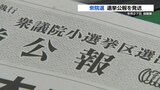 「有権者の判断材料の一つに」衆院選の選挙公報 83万部を発送 熊本 | 熊本のニュース|RKK NEWS|RKK熊本放送