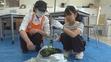 親子でトマトについて学ぶ　ミニトマトの苗木植え付け体験|TBS NEWS DIG