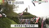 ４００匹の大群…北海道から沖縄まで全国から寄せられたこいのぼりが泳ぐ|TBS NEWS DIG