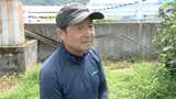 「本当にプロだよ、きれいに穫ってる」「これ絶対素人」 ”フルーツの里”で果物窃盗あいつぐ 梨、イチジク、キウイ・・・いったい誰が 福岡 | 福岡のニュース|RKB NEWS|RKB毎日放送