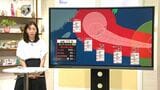 台風13号　奄美地方に週末接近か　気象予報士解説（8月4日午後6時30分）|TBS NEWS DIG