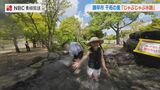 「冷たくて気持ちいい！」水温20℃、全長55mの“じゃぶじゃぶ水路”　諫早市・干拓の里が今年度から無料に　|　長崎のニュース | 天気 | NBC長崎放送